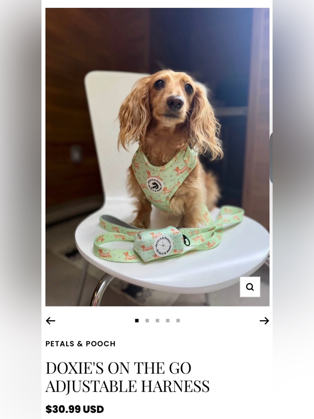 Petals & Pooch Mint Dog Harness with Dachshund Weiner Dogs Sz XSMall NWOT